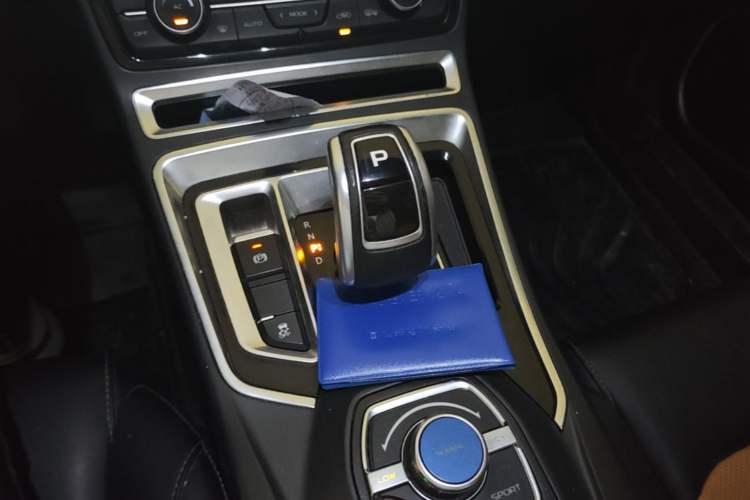 Used Geely Auto Emgrand New Energy 2018 EV450 Ambition Model Gear Lever