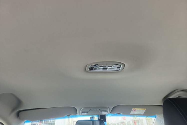 Used Geely Auto Emgrand New Energy 2018 EV450 Ambition Model Headliner