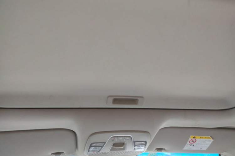 Used Geely Auto Emgrand New Energy 2018 EV450 Elite Model Headliner