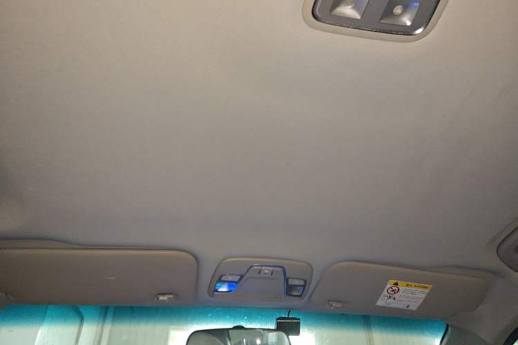 Used Geely Auto Emgrand New Energy 2018 EV450 Ambition Model Headliner