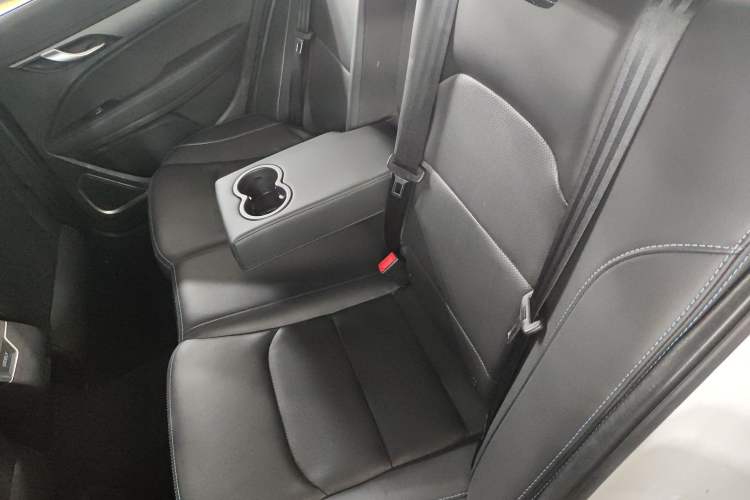 Used Geely Auto Emgrand New Energy 2018 EV450 Ambition Model Interior 1