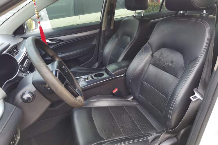 Used Geely Auto Emgrand New Energy 2018 EV450 Ambition Model Left Front Seat