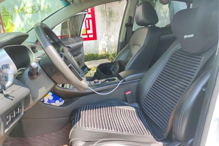 Used Geely Auto Emgrand New Energy 2018 EV450 Ambition Model Left Front Seat