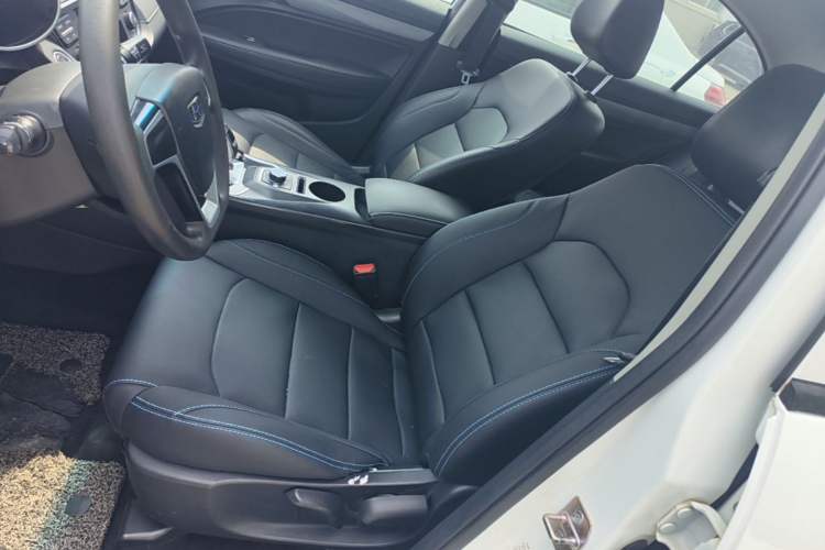 Used Geely Auto Emgrand New Energy 2018 EV450 Ambition Model Left Front Seat