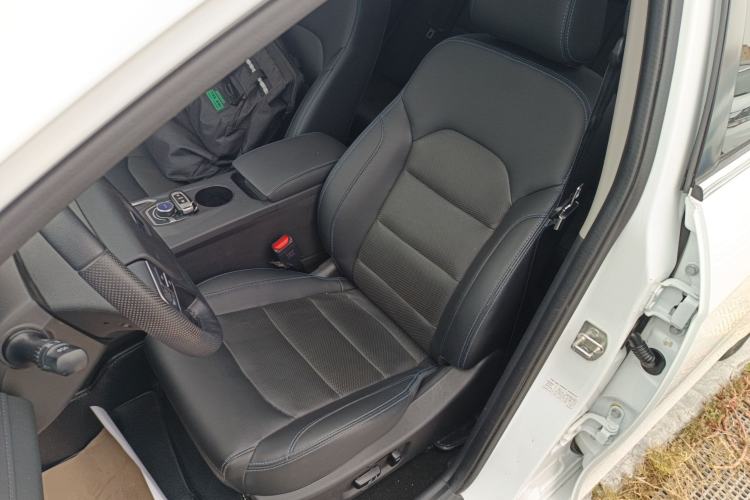 Used Geely Auto Emgrand New Energy 2018 EV450 Prestige Model Left Front Seat