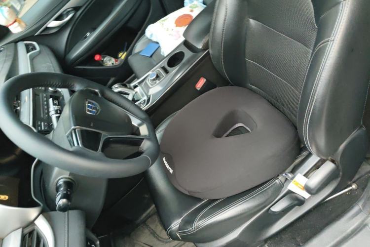 Used Geely Auto Emgrand New Energy 2018 EV450 Ambition Model Left Front Seat