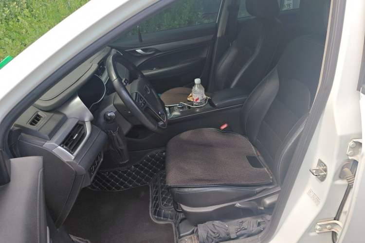 Used Geely Auto Emgrand New Energy 2018 EV450 Elite Model Left Front Seat