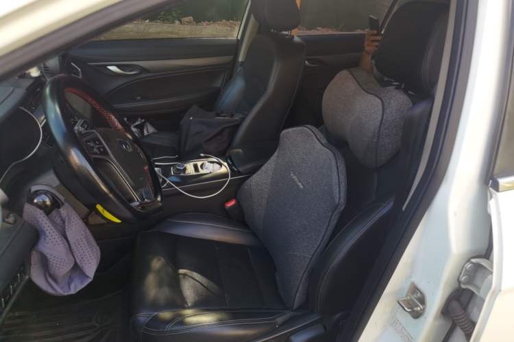 Used Geely Auto Emgrand New Energy 2018 EV450 Elite Model Left Front Seat