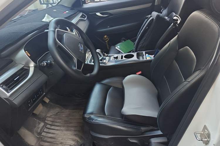 Used Geely Auto Emgrand New Energy 2018 EV450 Ambition Model Left Front Seat