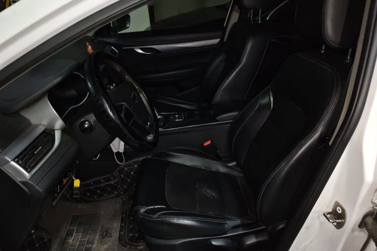 Used Geely Auto Emgrand New Energy 2018 EV450 Ambition Model Left Front Seat