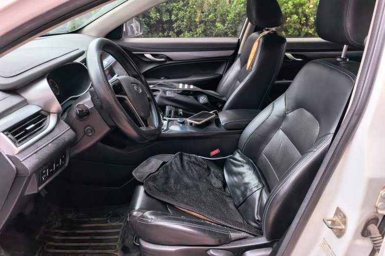 Used Geely Auto Emgrand New Energy 2018 EV450 Ambition Model Left Front Seat