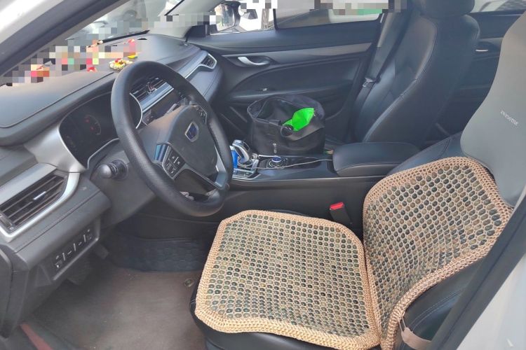 Used Geely Auto Emgrand New Energy 2018 EV350 Elite Model Left Front Seat