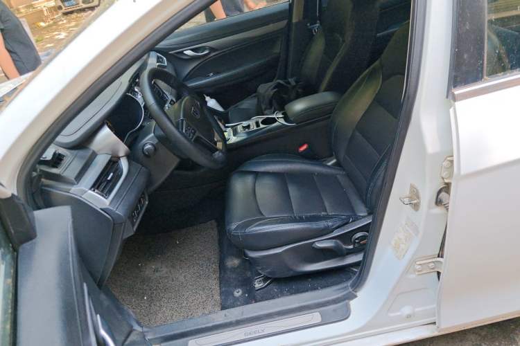 Used Geely Auto Emgrand New Energy 2018 EV450 Elite Model Left Front Seat