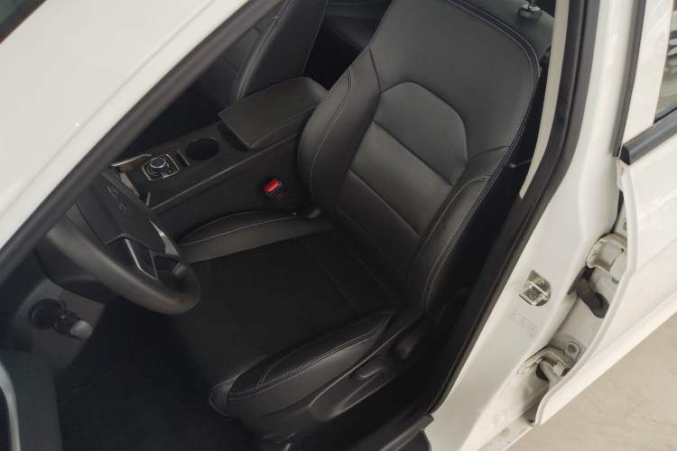 Used Geely Auto Emgrand New Energy 2018 EV450 Ambition Model Left Front Seat