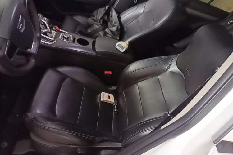 Used Geely Auto Emgrand New Energy 2018 EV450 Ambition Model Left Front Seat