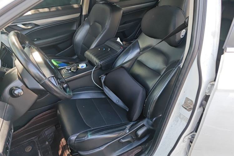 Used Geely Auto Emgrand New Energy 2018 EV450 Elite Model Left Front Seat