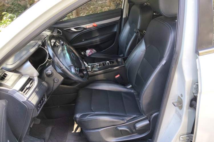 Used Geely Auto Emgrand New Energy 2018 EV450 Elite Model Left Front Seat