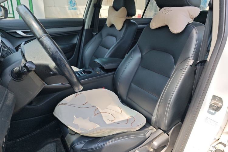 Used Geely Auto Emgrand New Energy 2018 EV450 Elite Model Left Front Seat
