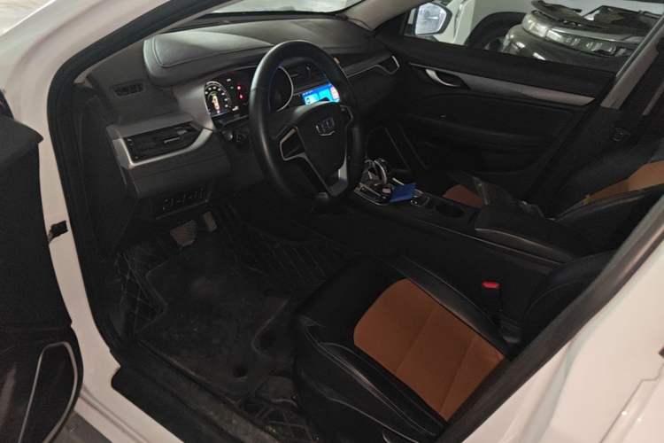 Used Geely Auto Emgrand New Energy 2018 EV450 Ambition Model Left Front Seat