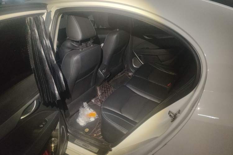 Used Geely Auto Emgrand New Energy 2018 EV450 Elite Model Left Rear Seat