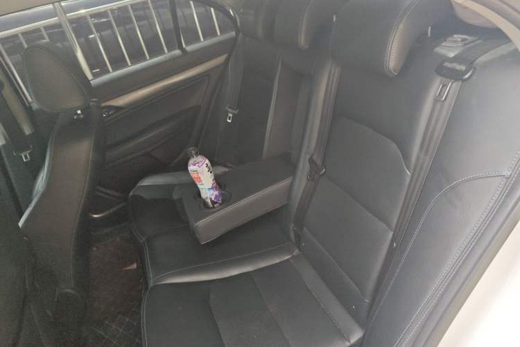 Used Geely Auto Emgrand New Energy 2018 EV450 Ambition Model Left Rear Seat