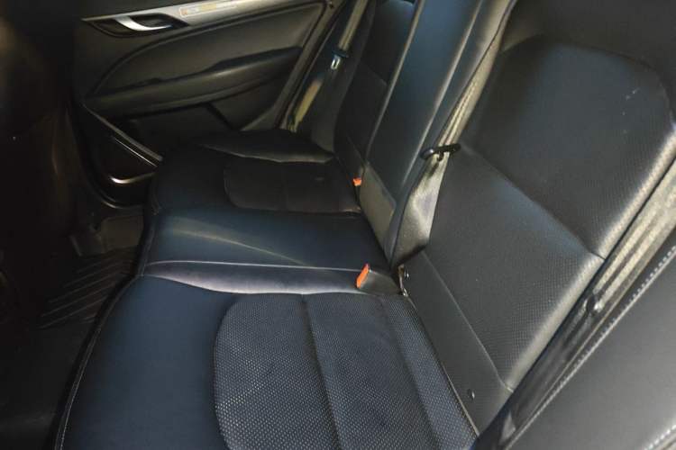 Used Geely Auto Emgrand New Energy 2018 EV450 Elite Model Left Rear Seat