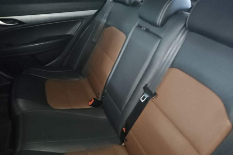 Used Geely Auto Emgrand New Energy 2018 EV450 Ambition Model Left Rear Seat