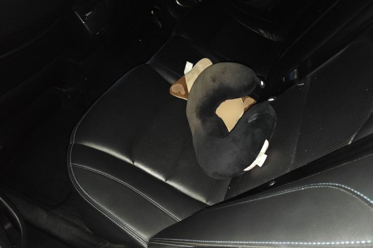 Used Geely Auto Emgrand New Energy 2018 EV450 Ambition Model Left Rear Seat