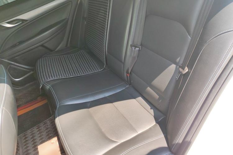 Used Geely Auto Emgrand New Energy 2018 EV450 Ambition Model Left Rear Seat