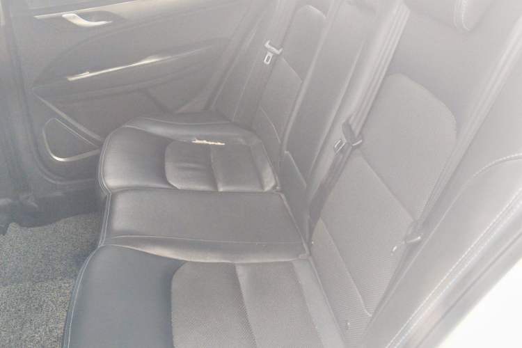 Used Geely Auto Emgrand New Energy 2018 EV450 Prestige Model Left Rear Seat