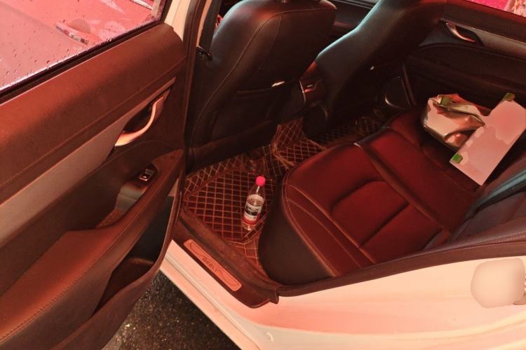 Used Geely Auto Emgrand New Energy 2018 EV450 Elite Model Left Rear Seat