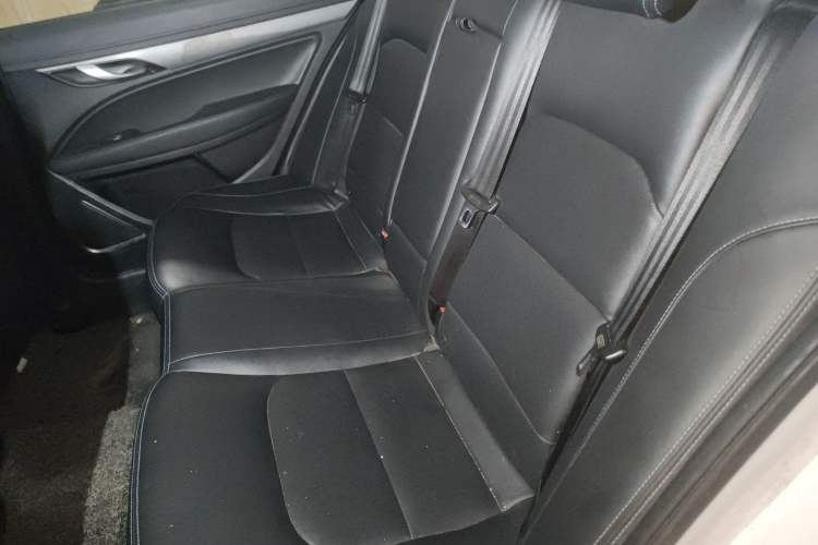 Used Geely Auto Emgrand New Energy 2018 EV350 Elite Model Left Rear Seat