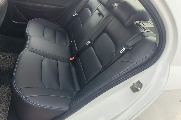 Used Geely Auto Emgrand New Energy 2018 EV450 Ambition Model Left Rear Seat