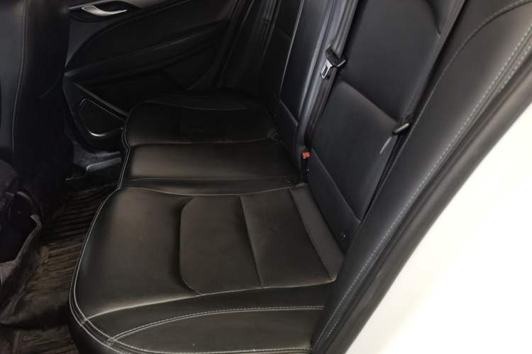 Used Geely Auto Emgrand New Energy 2018 EV450 Ambition Model Left Rear Seat