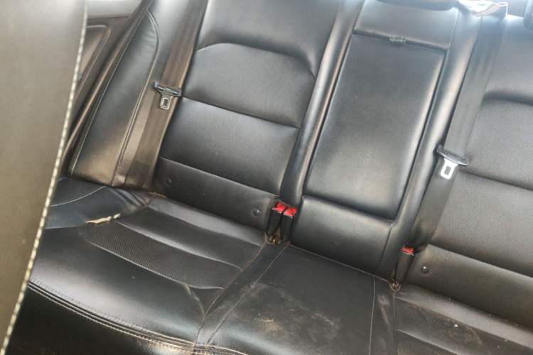 Used Geely Auto Emgrand New Energy 2018 EV450 Ambition Model Left Rear Seat