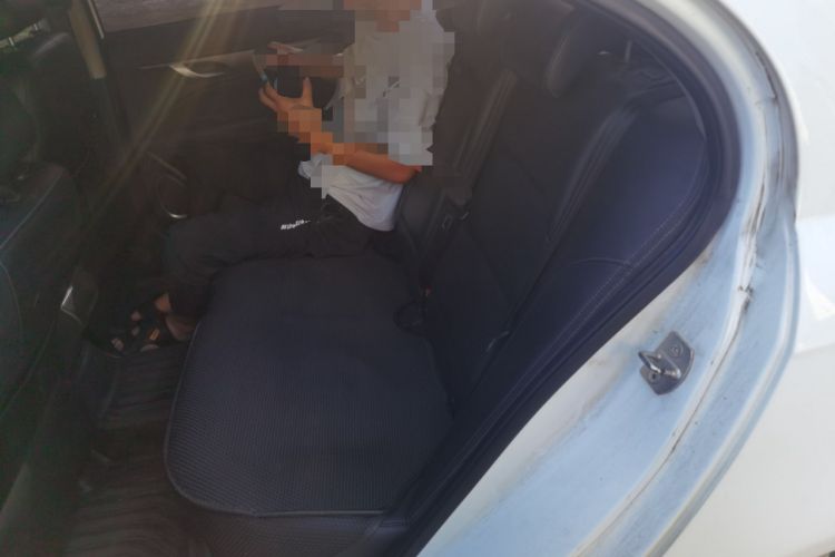 Used Geely Auto Emgrand New Energy 2018 EV450 Elite Model Left Rear Seat