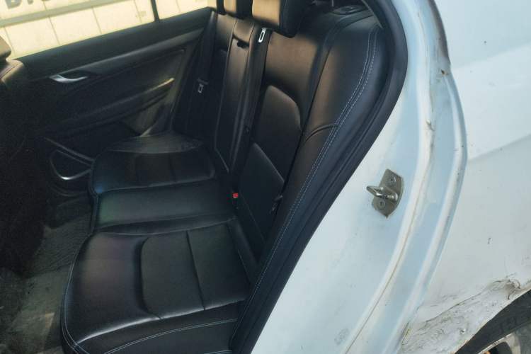 Used Geely Auto Emgrand New Energy 2018 EV450 Ambition Model Left Rear Seat