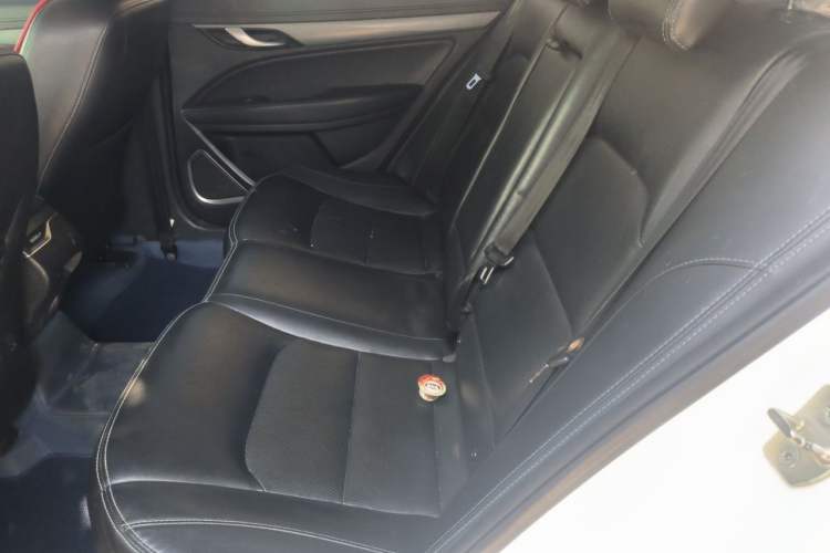Used Geely Auto Emgrand New Energy 2018 EV450 Ambition Model Left Rear Seat