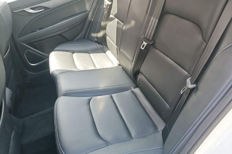 Used Geely Auto Emgrand New Energy 2018 EV450 Ambition Model Left Rear Seat