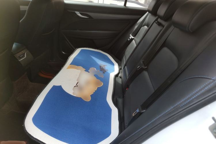 Used Geely Auto Emgrand New Energy 2018 EV450 Elite Model Left Rear Seat