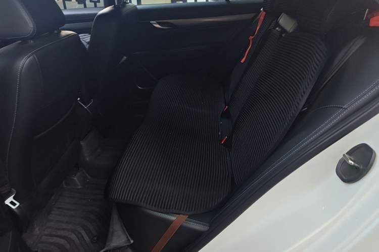 Used Geely Auto Emgrand New Energy 2018 EV450 Ambition Model Left Rear Seat