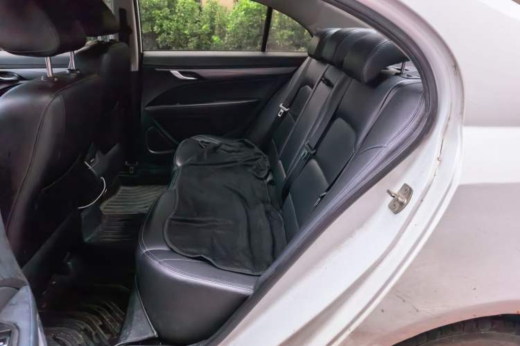 Used Geely Auto Emgrand New Energy 2018 EV450 Ambition Model Left Rear Seat