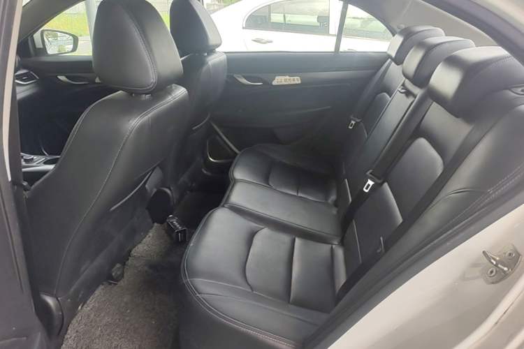 Used Geely Auto Emgrand New Energy 2018 EV450 Ambition Model Left Rear Seat
