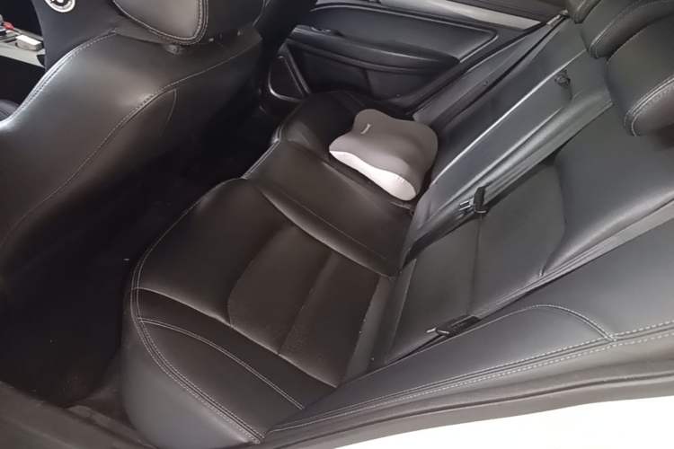 Used Geely Auto Emgrand New Energy 2018 EV450 Ambition Model Left Rear Seat
