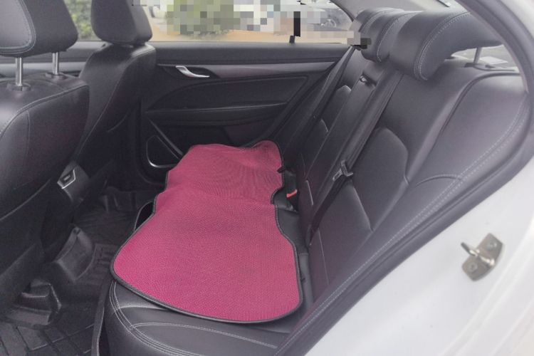 Used Geely Auto Emgrand New Energy 2018 EV450 Ambition Model Left Rear Seat