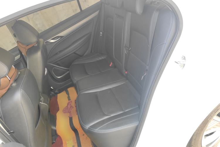 Used Geely Auto Emgrand New Energy 2018 EV450 Ambition Model Left Rear Seat