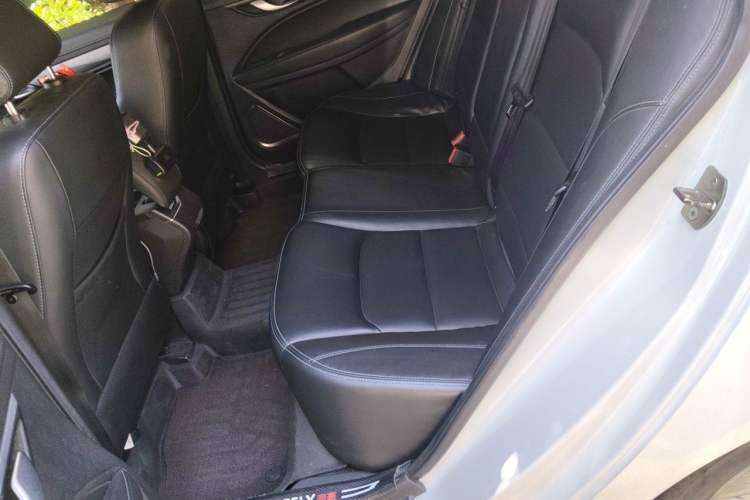 Used Geely Auto Emgrand New Energy 2018 EV450 Elite Model Left Rear Seat