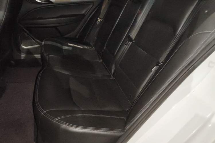 Used Geely Auto Emgrand New Energy 2018 EV450 Ambition Model Left Rear Seat
