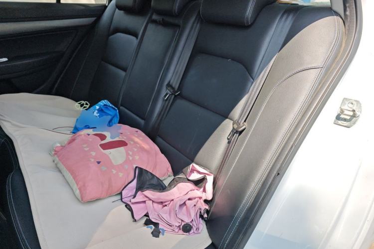 Used Geely Auto Emgrand New Energy 2018 EV450 Elite Model Left Rear Seat