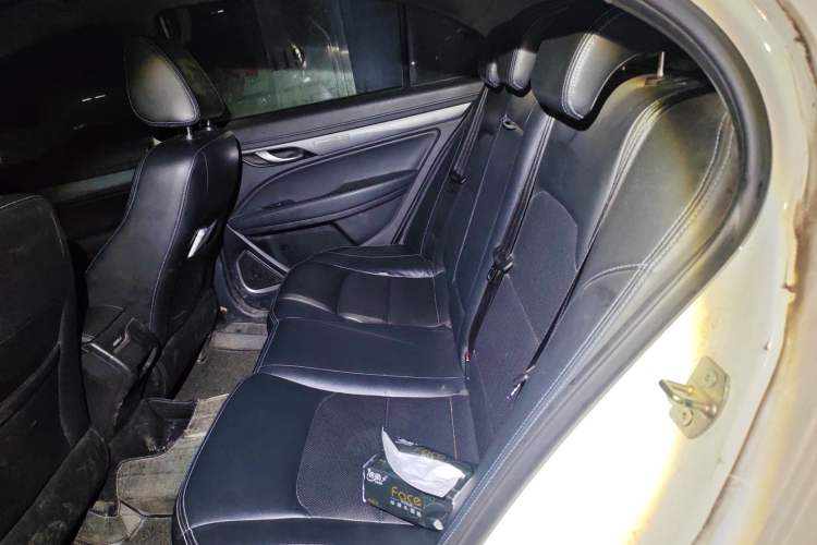 Used Geely Auto Emgrand New Energy 2018 EV450 Ambition Model Left Rear Seat